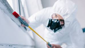 Professional Pest Control in Choteau, MT